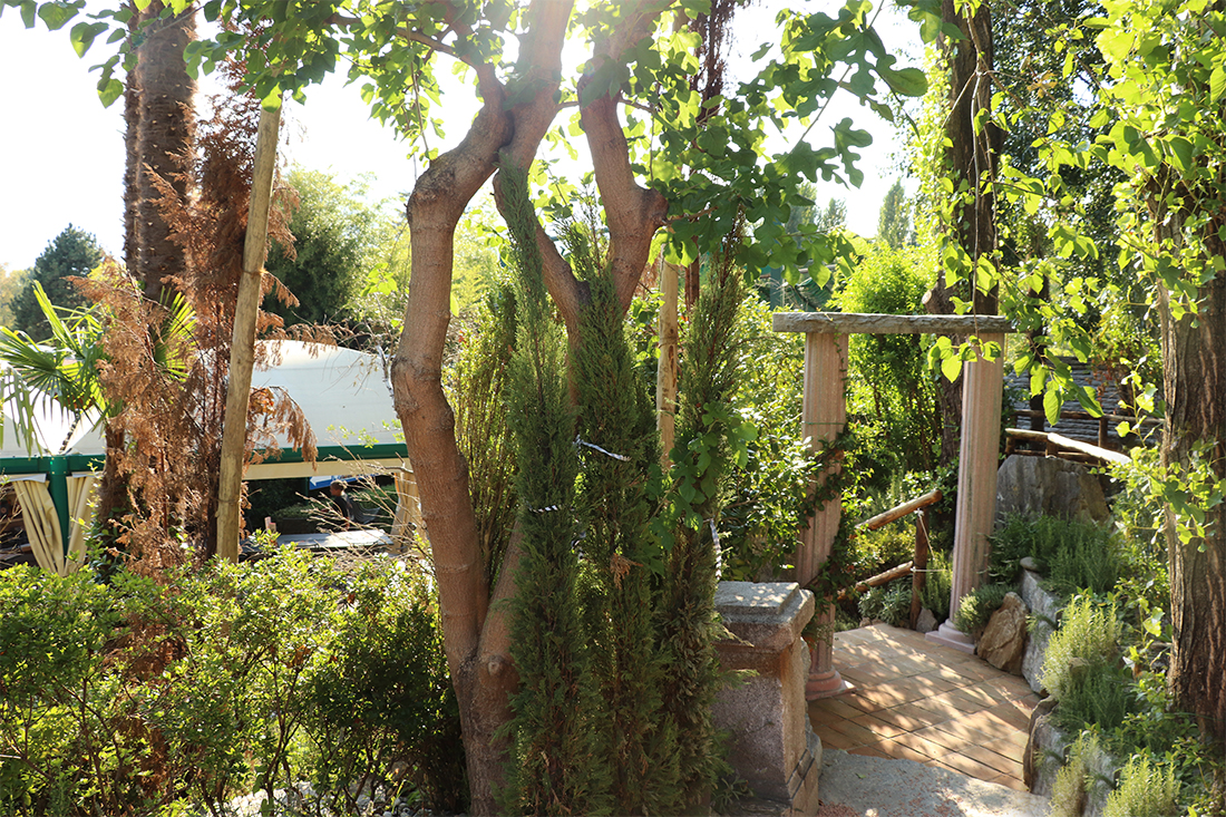 Ausflugsziel: Falconeria Locarno