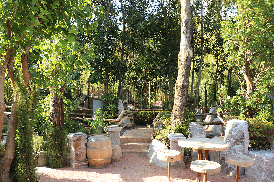 Ausflugsziel: Falconeria Locarno