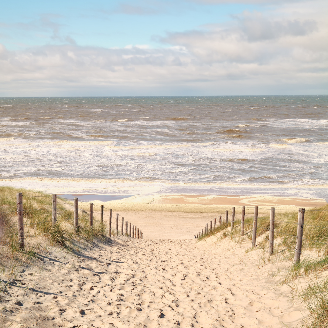 Ausflug mit Kindern - Alter der Kinder: über 10 Jahre - Lago Maggiore - Lido Ascona