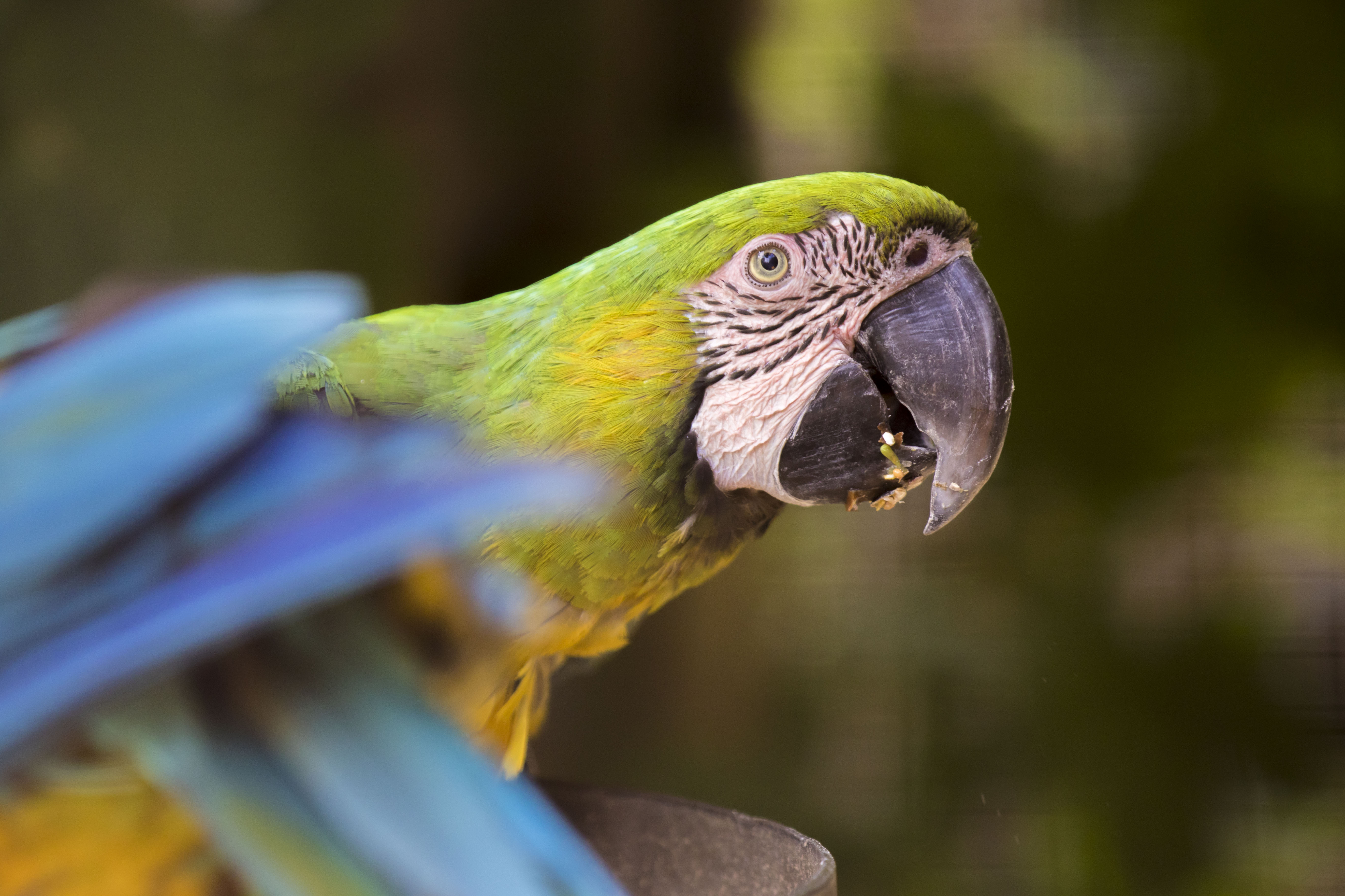 Reis met kinderen - Ausflugsziel ist: ein Zoo - Zoo al Maglio