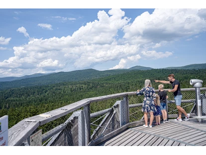 Trip with children - erreichbar mit: Bus - Aussicht am Baumwipfelpfad Bayerischer Wald - Baumwipfelpfad Bayerischer Wald