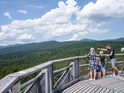 Trip with children - erreichbar mit: Bus - Baumwipfelpfad Bayerischer Wald