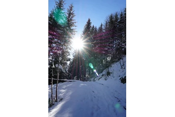 Urlaub: Im Winterurlaub oder Skiurlaub geht es ins Skigebiet Ski amadé zum Skifahren, Snowboarden, Winterwandern und Rodeln. - Tourismusverband Goldegg am See