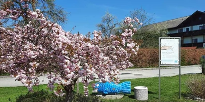 Trip with children - PLZ 5425 (Österreich) - Wasserroas Weyregg