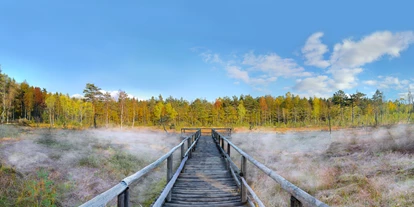 Voyage avec des enfants - Pernegg (Pernegg) - Prügelsteg über die offene Moorfläche - Naturpark Heidenreichsteiner Moor