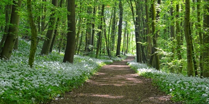Reis met kinderen - Vättis - Sagenrundwanderweg am Hensler