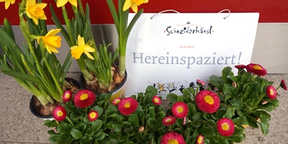 Reis met kinderen - Ybbs an der Donau - Frühling im Kinderbuchhaus - Kinderbuchhaus in Oberndorf an der Melk