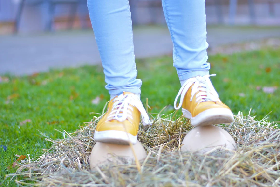 Ausflugsziel: Straußenhof Halmer