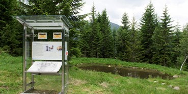 Ausflug mit Kindern - Themenschwerpunkt: Entdecken - Vorarlberg - Silberpfad am Kristberg im Silbertal, dem Genießerberg im Montafon