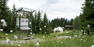 Ausflug mit Kindern - Themenschwerpunkt: Bewegung - Bludenz - Silberpfad am Kristberg im Silbertal, dem Genießerberg im Montafon