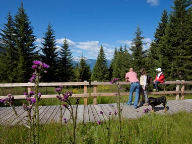 Ausflugsziel: Familienwanderungen (teils Kinderwagentauglich) am Kristberg und im Silbertal - Kinderwagentaugliche Wanderwege im Silbertal im Montafon