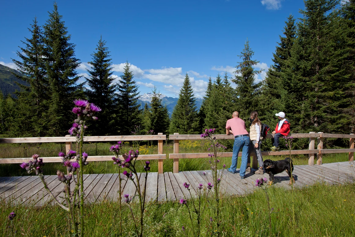 Ausflugsziel: Familienwanderungen (teils Kinderwagentauglich) am Kristberg und im Silbertal - Kinderwagentaugliche Wanderwege im Silbertal im Montafon