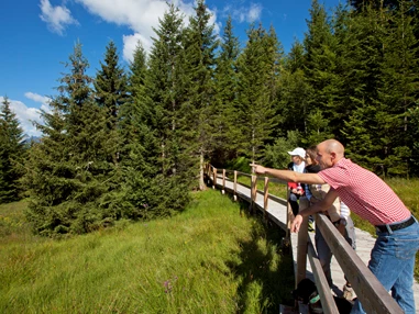 Ausflugsziel: Familienwanderungen (teils Kinderwagentauglich) am Kristberg und im Silbertal - Kinderwagentaugliche Wanderwege im Silbertal im Montafon
