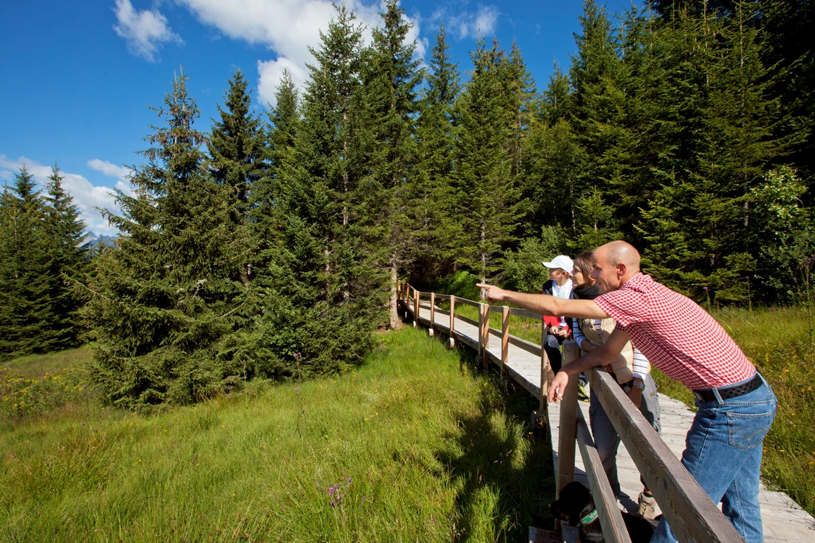 Ausflugsziel: Familienwanderungen (teils Kinderwagentauglich) am Kristberg und im Silbertal - Kinderwagentaugliche Wanderwege im Silbertal im Montafon
