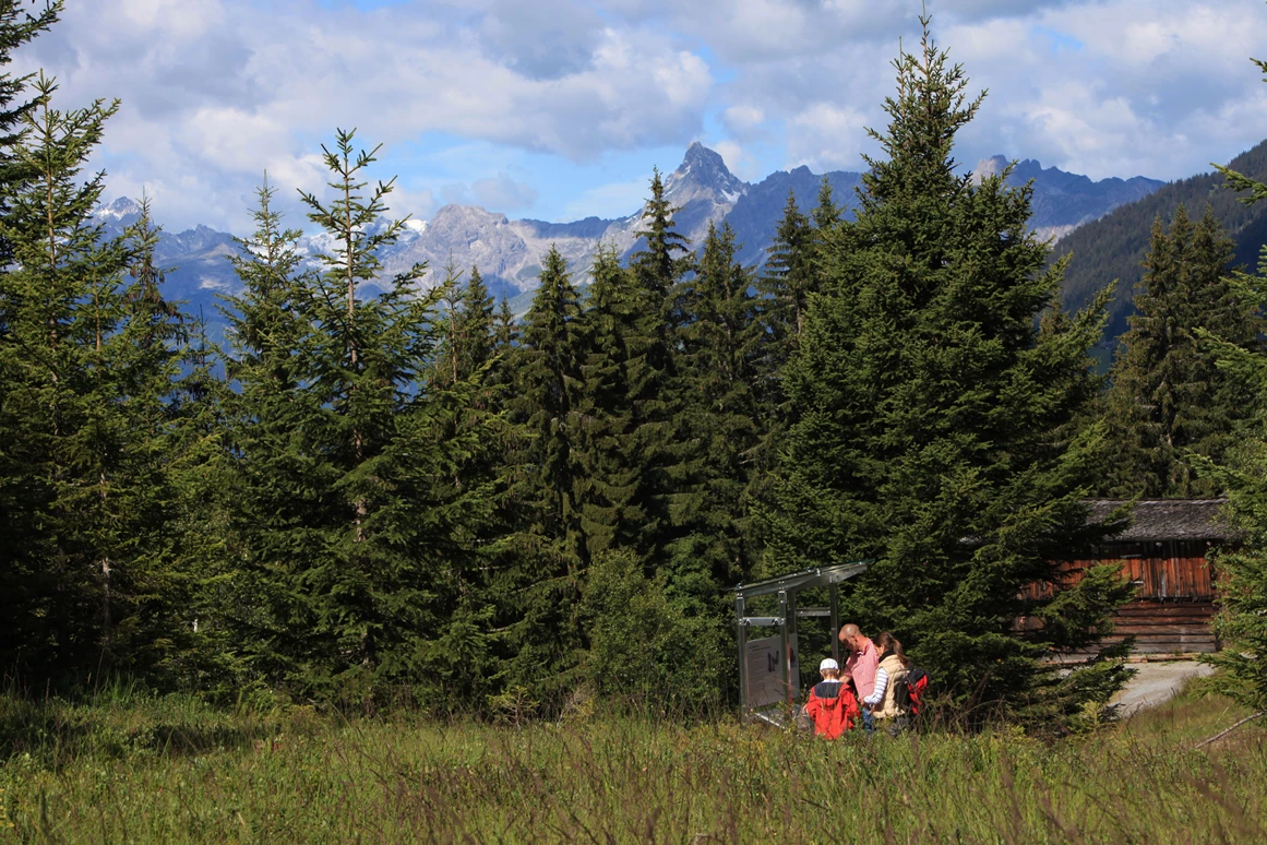 Ausflugsziel: Familienwanderungen (teils Kinderwagentauglich) am Kristberg und im Silbertal - Kinderwagentaugliche Wanderwege im Silbertal im Montafon