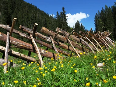 Ausflugsziel: Familienwanderungen (teils Kinderwagentauglich) am Kristberg und im Silbertal - Kinderwagentaugliche Wanderwege im Silbertal im Montafon