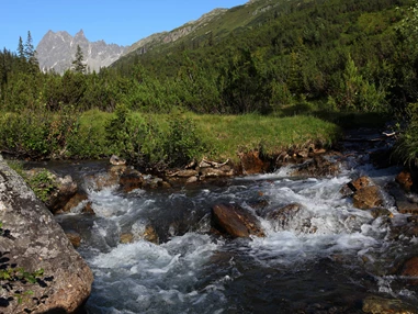 Ausflugsziel: Familienwanderungen (teils Kinderwagentauglich) am Kristberg und im Silbertal - Kinderwagentaugliche Wanderwege im Silbertal im Montafon
