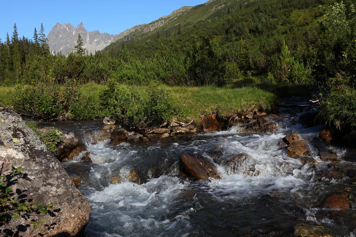 Ausflugsziel: Familienwanderungen (teils Kinderwagentauglich) am Kristberg und im Silbertal - Kinderwagentaugliche Wanderwege im Silbertal im Montafon