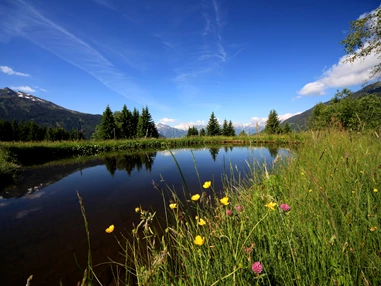 Ausflugsziel: Familienwanderungen (teils Kinderwagentauglich) am Kristberg und im Silbertal - Kinderwagentaugliche Wanderwege im Silbertal im Montafon