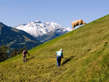 Ausflugsziel: Familienwanderungen (teils Kinderwagentauglich) am Kristberg und im Silbertal - Kinderwagentaugliche Wanderwege im Silbertal im Montafon