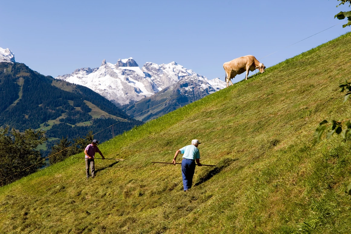 Ausflugsziel: Familienwanderungen (teils Kinderwagentauglich) am Kristberg und im Silbertal - Kinderwagentaugliche Wanderwege im Silbertal im Montafon