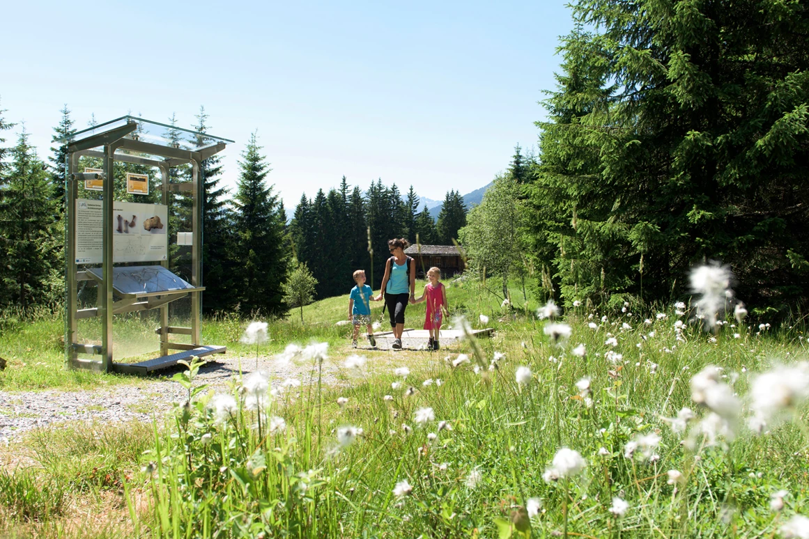 Ausflugsziel: Familienwanderungen (teils Kinderwagentauglich) am Kristberg und im Silbertal - Kinderwagentaugliche Wanderwege im Silbertal im Montafon