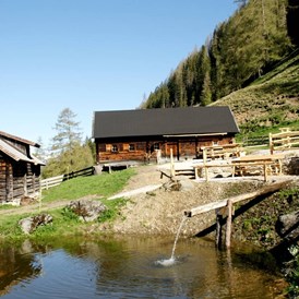 Ausflugsziel: Stiegleralm - Tourismusverband Gröbminger Land  - Michaelerberghaus - Stiegleralm 