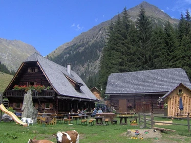 Ausflugsziel: Laßhoferalm - Laßhoferhütte und Landschitzwasselfall