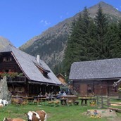 Ausflugsziel - Laßhoferalm - Laßhoferhütte und Landschitzwasselfall