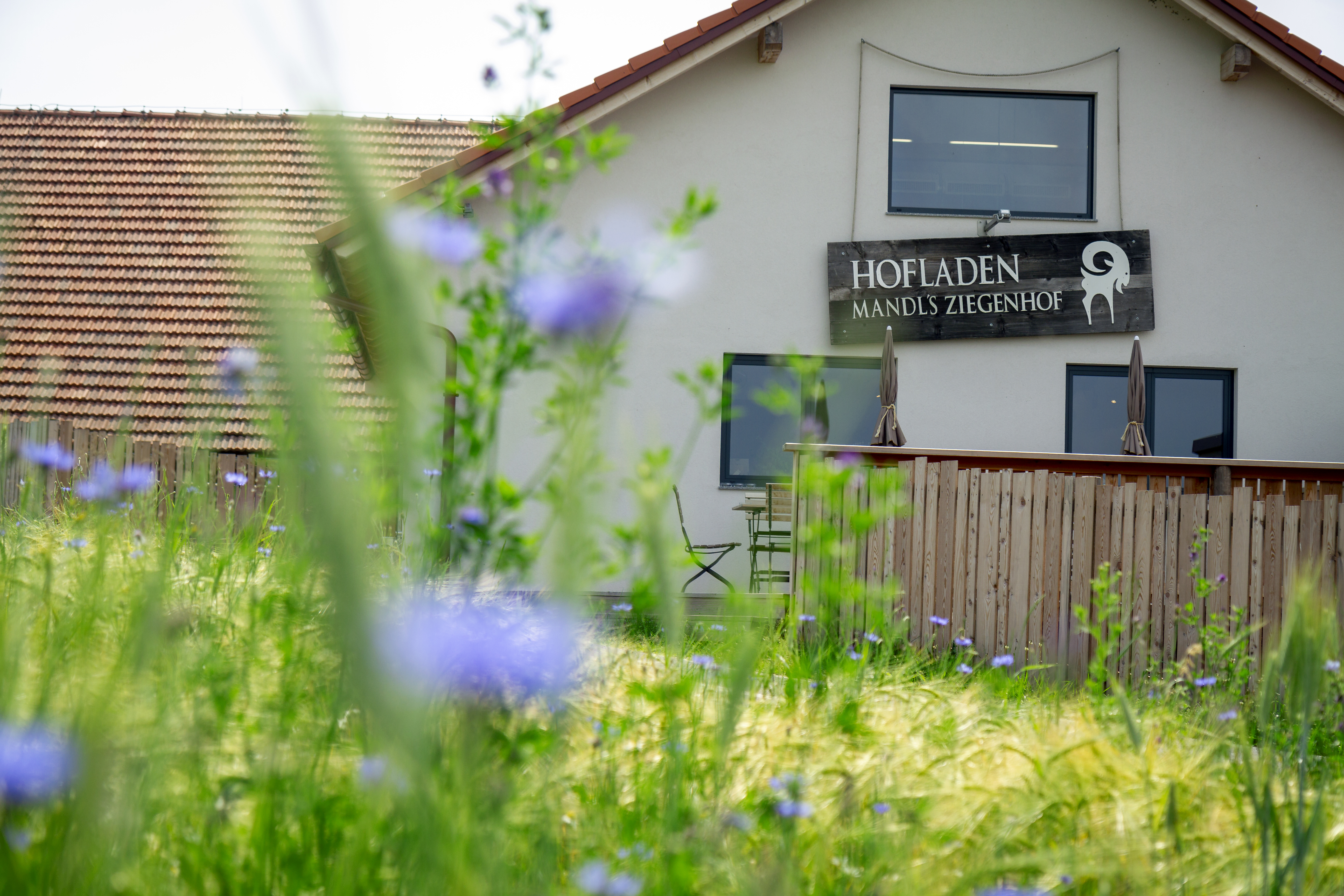 Ausflug mit Kindern - Alter der Kinder: 4 bis 6 Jahre - Loretto - Mandl's Ziegenhof