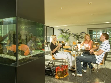 Ausflugsziel: das stadtbad