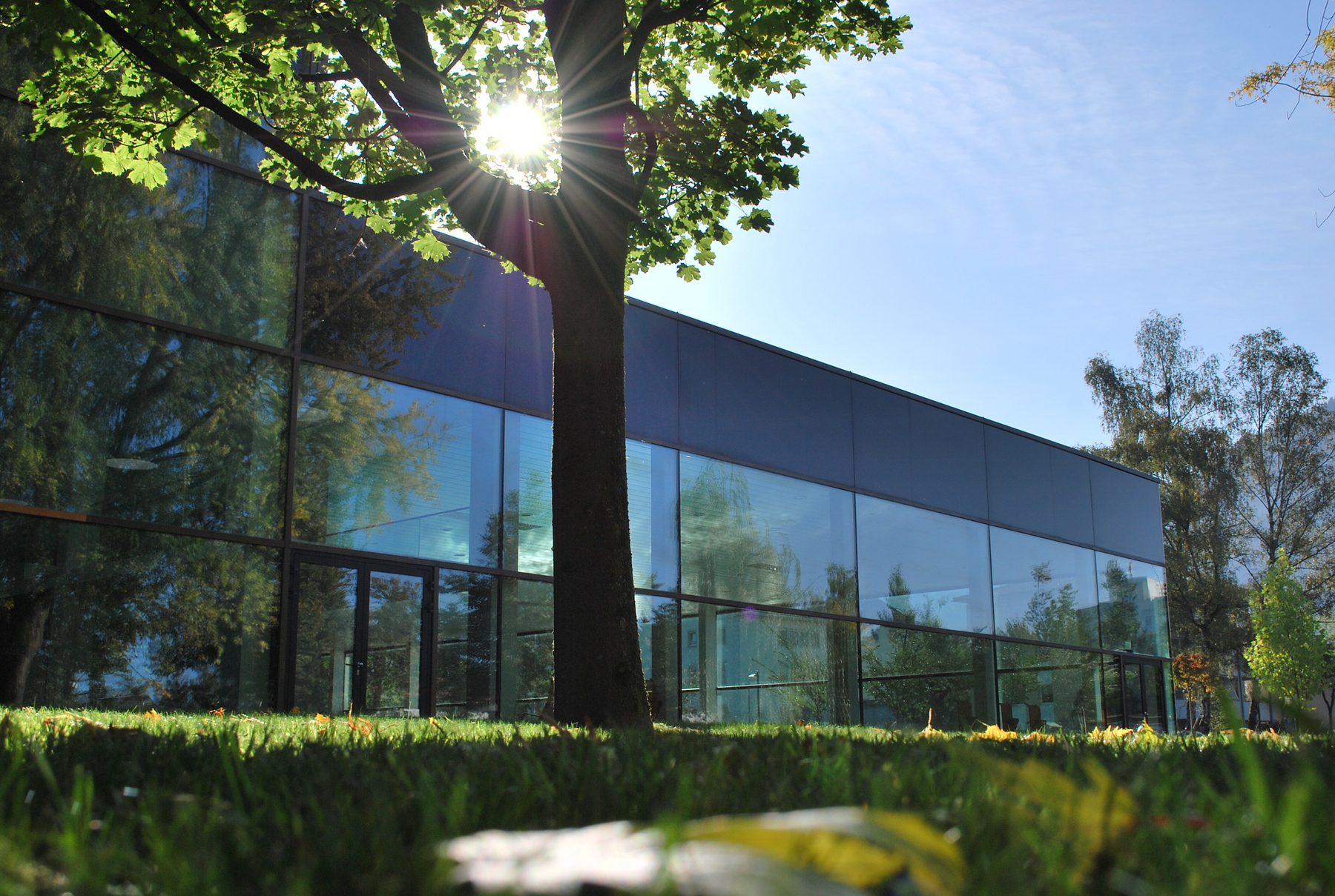 Ausflugsziel: das stadtbad