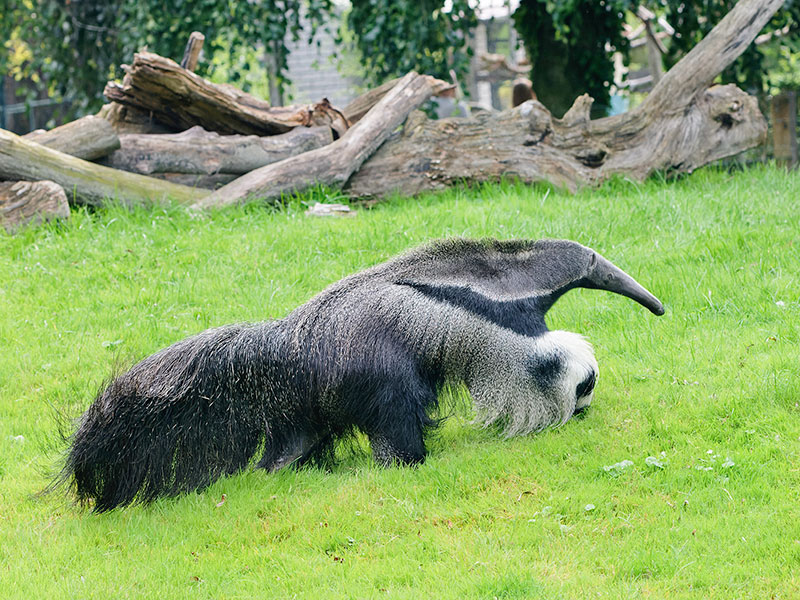 Ausflugsziel: Jaderpark