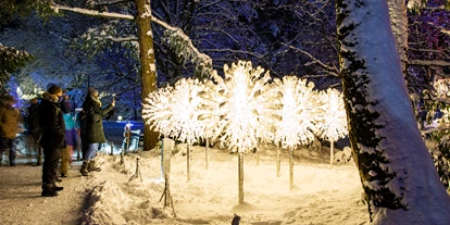 Ausflug mit Kindern - erreichbar mit: Bus - LUMAGICA Innsbruck