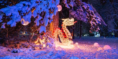 Ausflug mit Kindern - erreichbar mit: Bus - LUMAGICA Innsbruck
