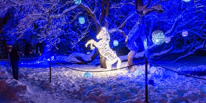 Ausflug mit Kindern - erreichbar mit: Bus - LUMAGICA Innsbruck