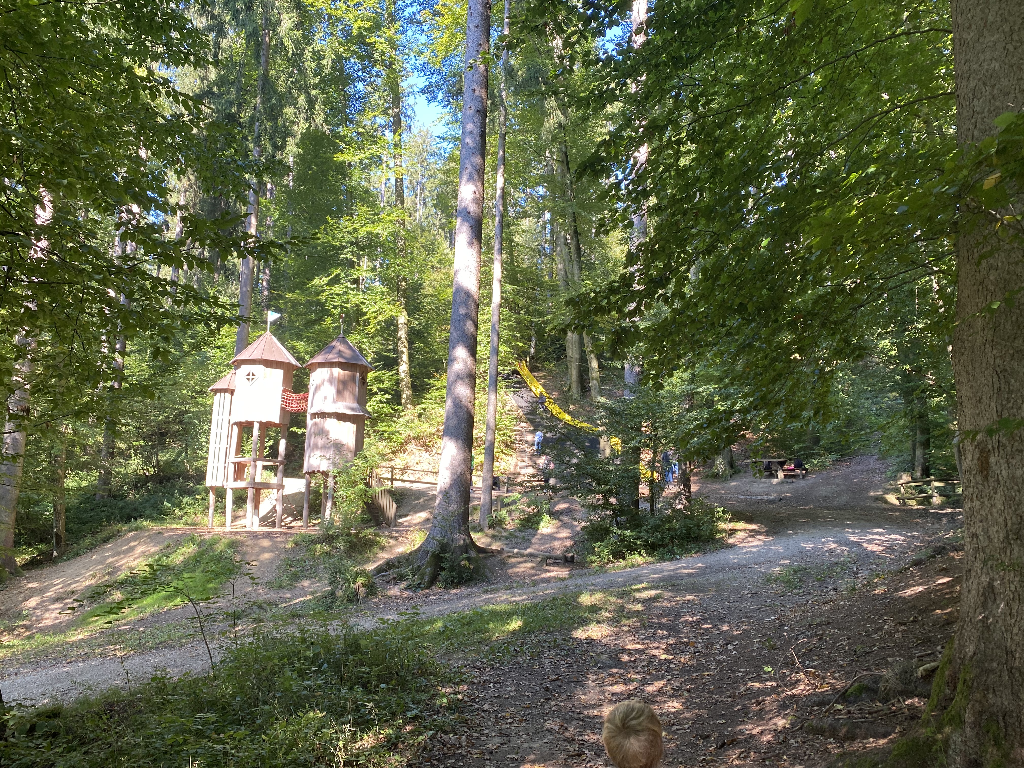 Ausflugsziel: Naturerlebnisweg Pfarrwald