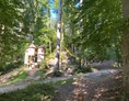 Ausflugsziel: Naturerlebnisweg Pfarrwald