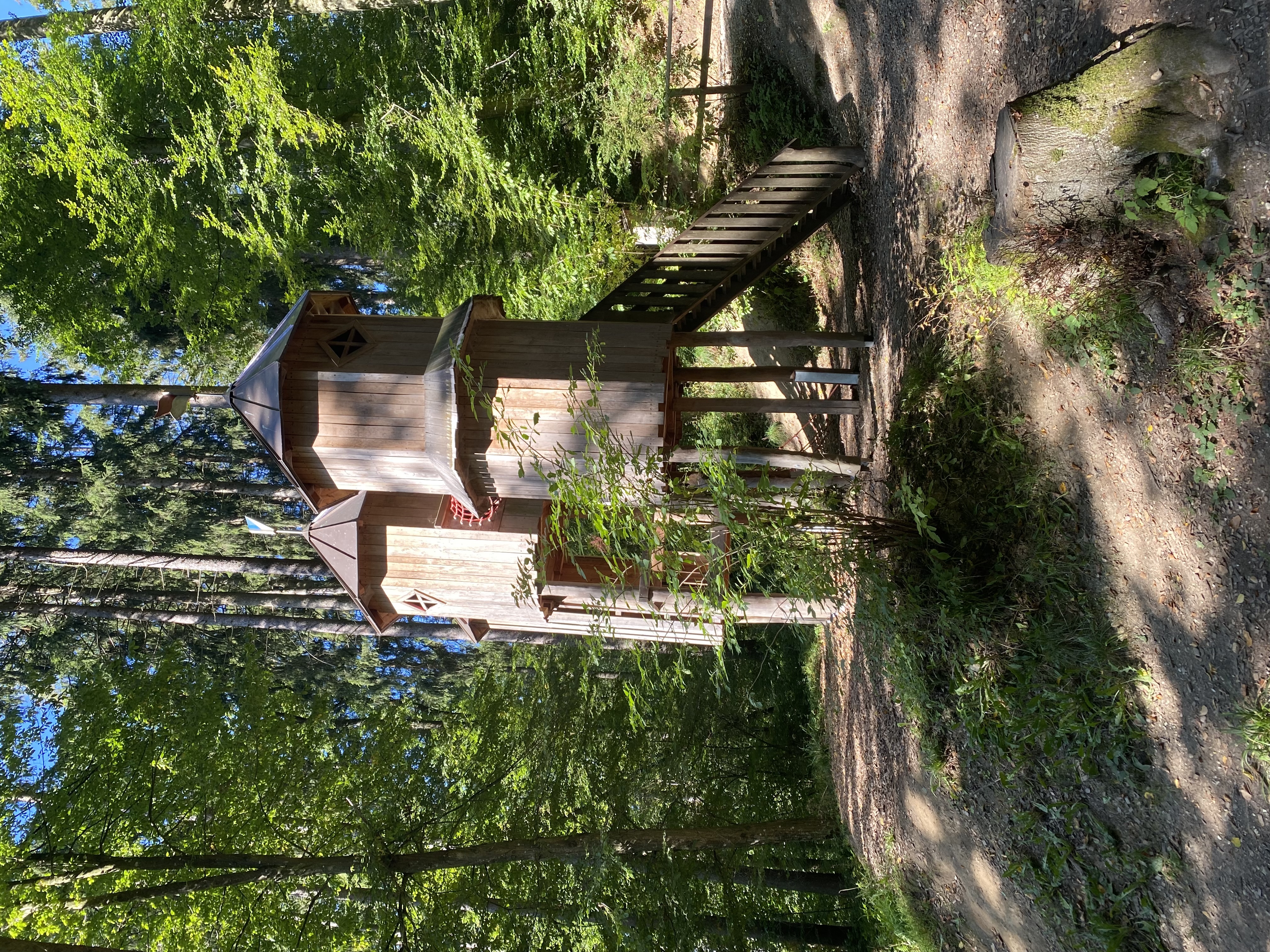 Ausflugsziel: Naturerlebnisweg Pfarrwald