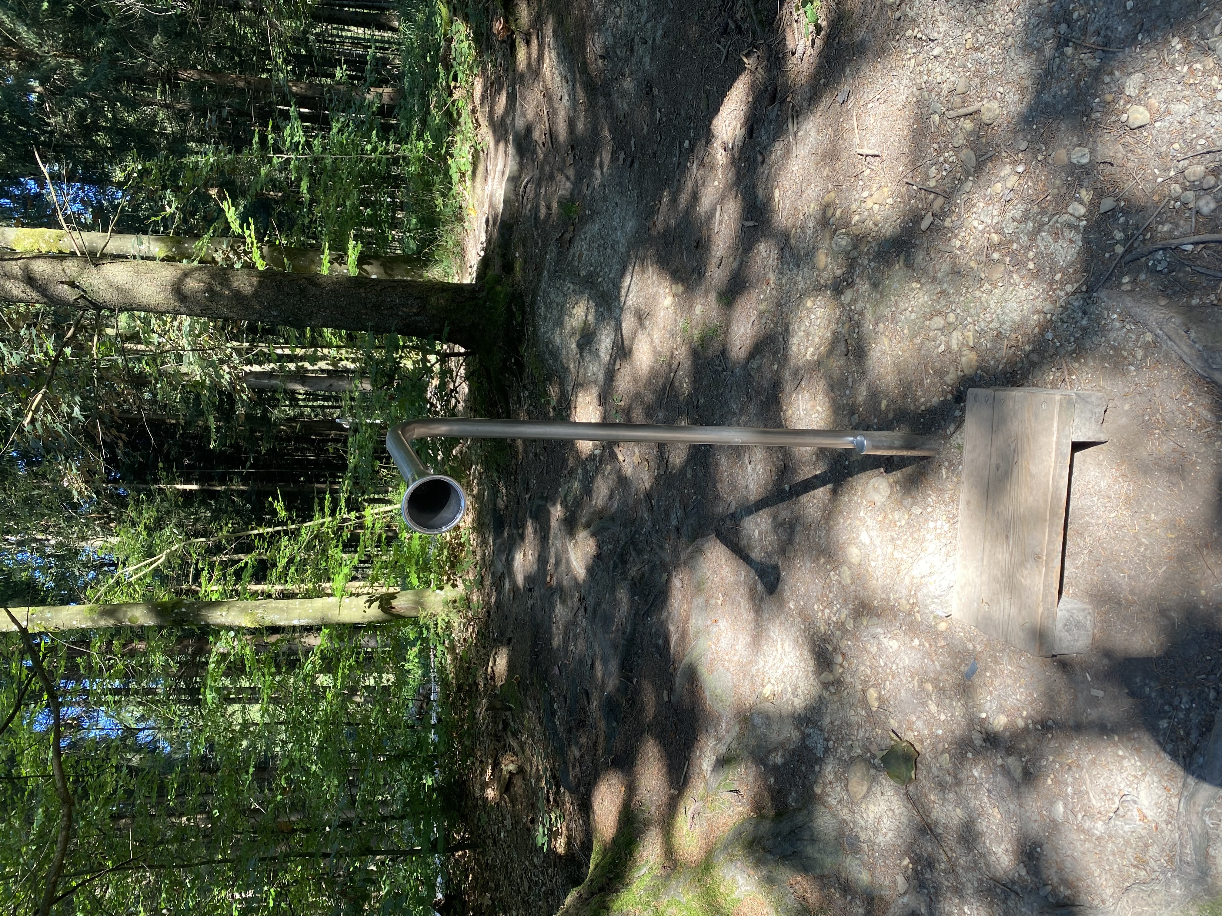 Ausflugsziel: Naturerlebnisweg Pfarrwald