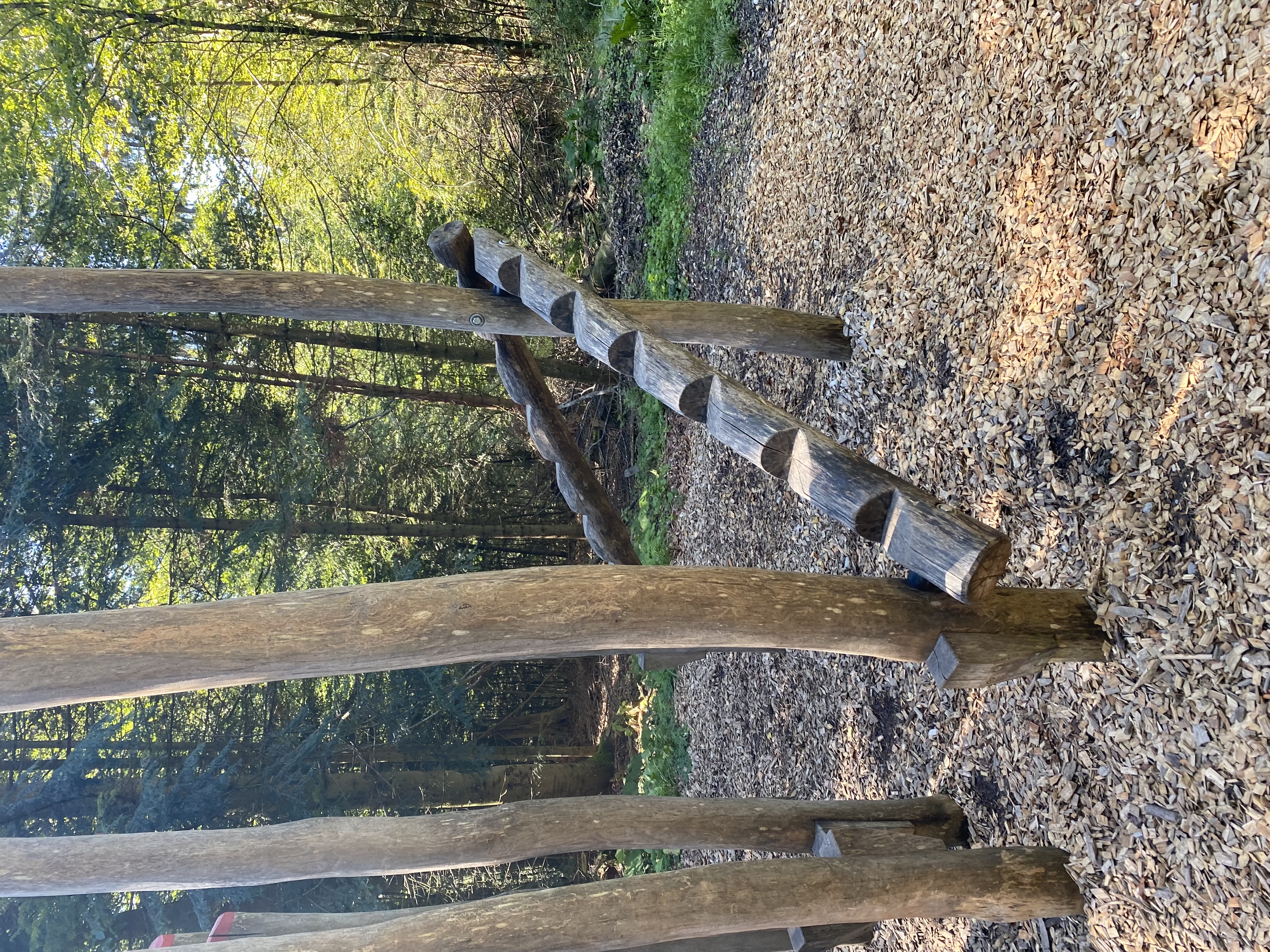 Ausflugsziel: Naturerlebnisweg Pfarrwald