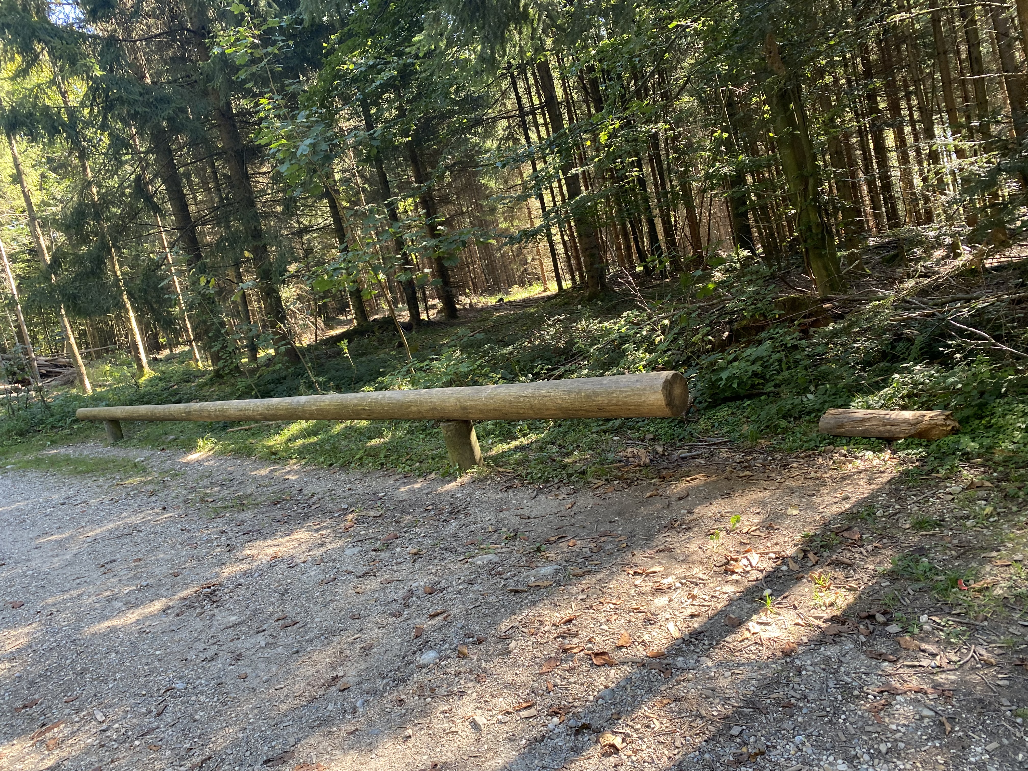 Ausflugsziel: Naturerlebnisweg Pfarrwald