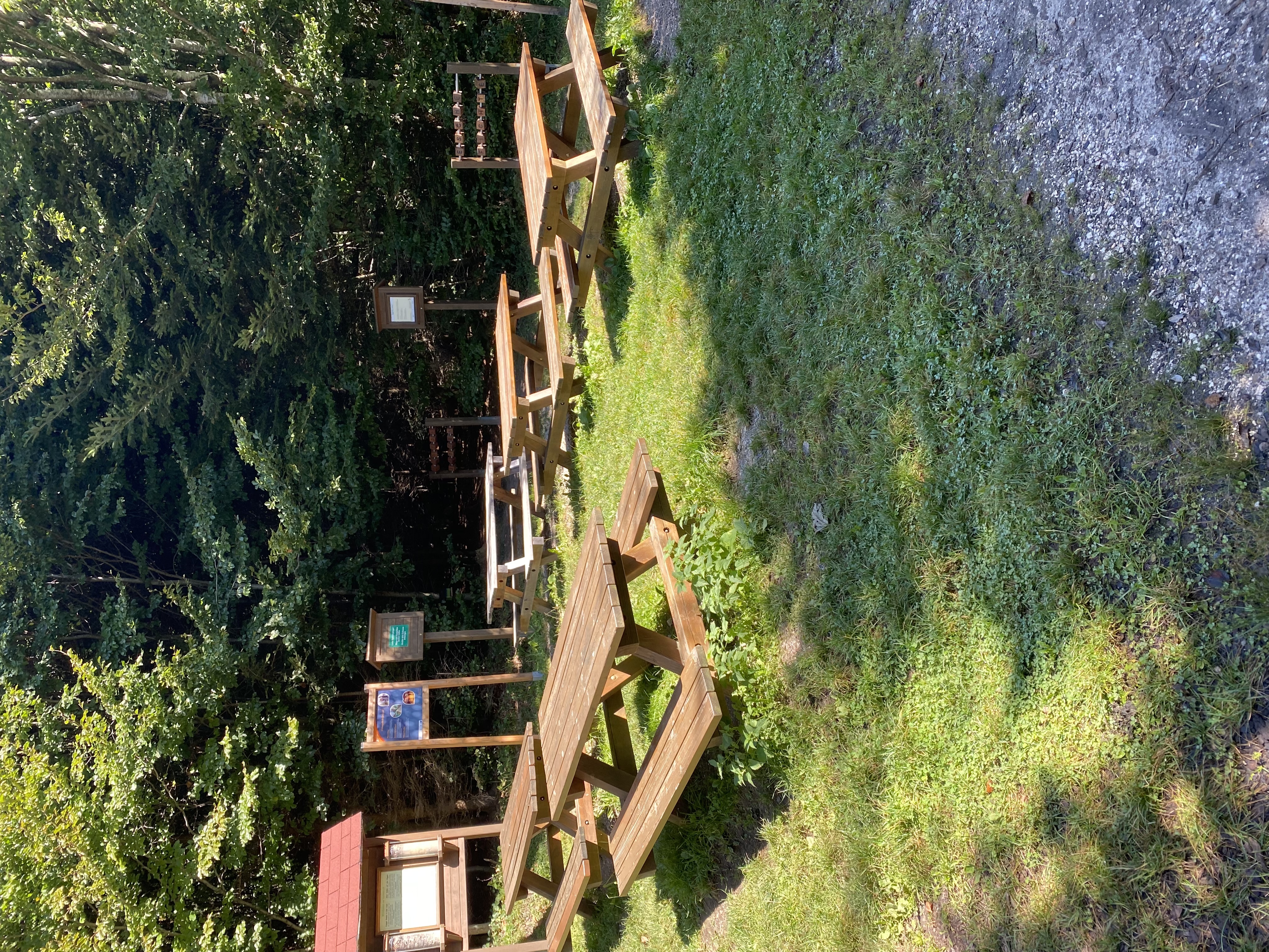 Ausflugsziel: Naturerlebnisweg Pfarrwald