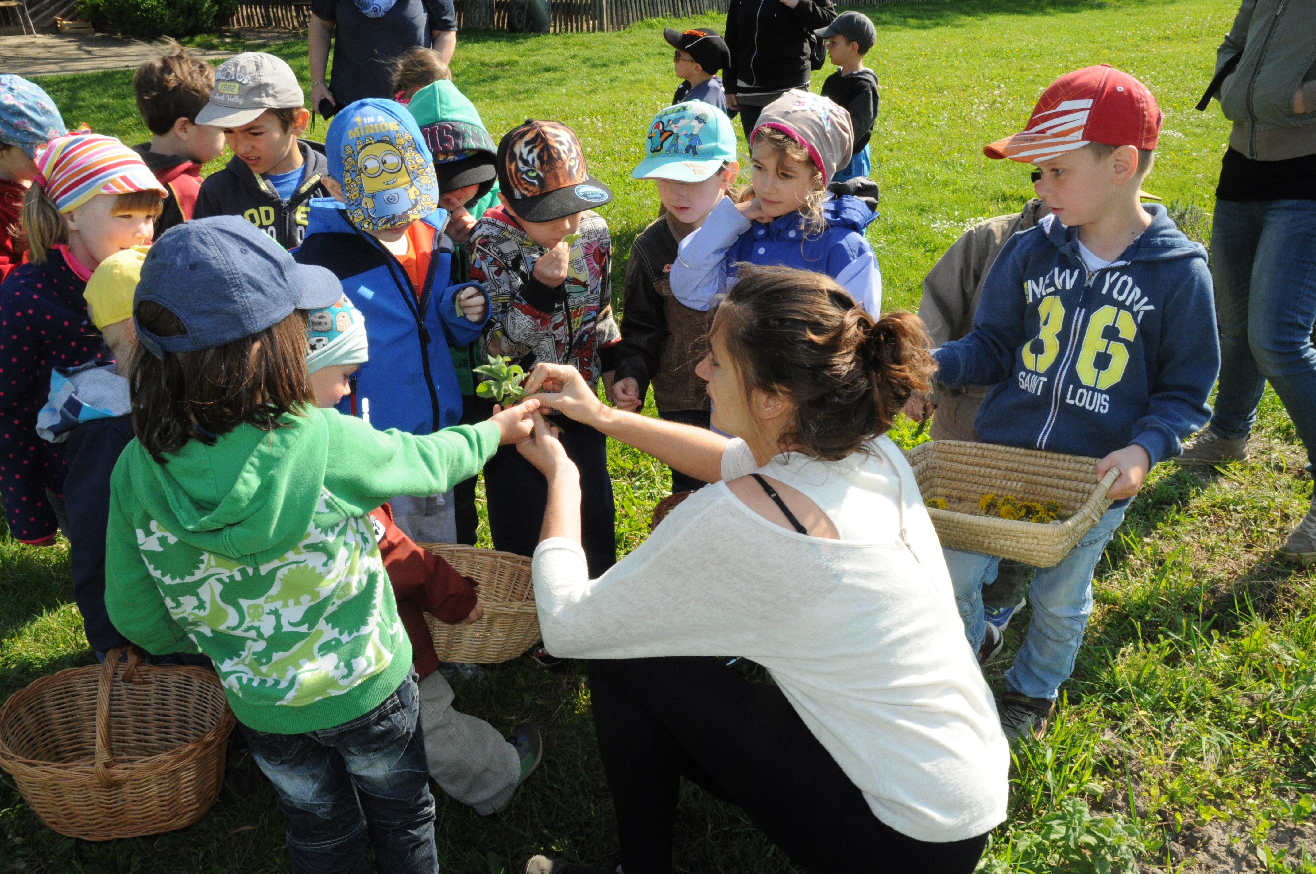 Trip with children - Kittsee - Kr&#228;uterworkshops f&#252;r Kinder &amp; Erwachsene - ADAMAH BioHof