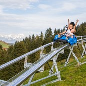 Ausflug mit Kindern: Familienpark Drachental Wildschönau Alpine Coaster
© Wildschönau Tourismus - Familienpark Drachental Wildschönau