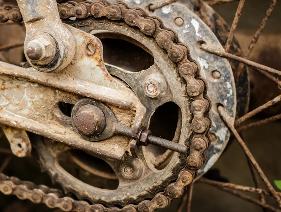 Ausflugsziel: Motorbär Motorrad-Museum