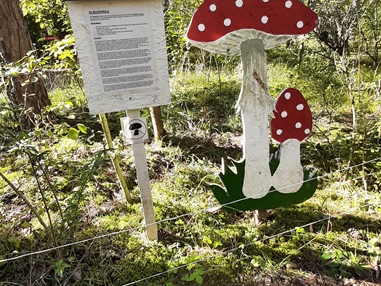 Ausflugsziel: Naturpfad mit Information zu Pilzen.
(c by Hotel Schwartz) - Schwartz Wald - Spielplatz