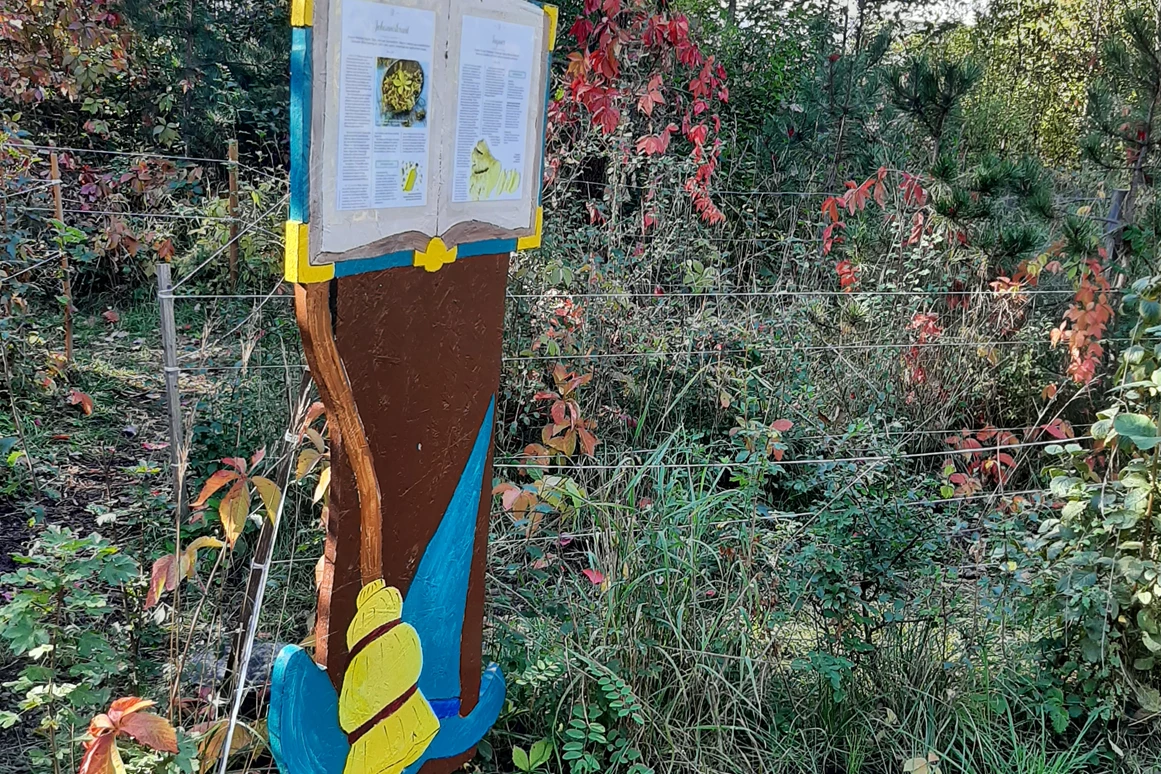 Ausflugsziel: Labyrinth mit Informationen zu Blumen + Kräutern.
(c by Hotel Schwartz) - Schwartz Wald - Spielplatz