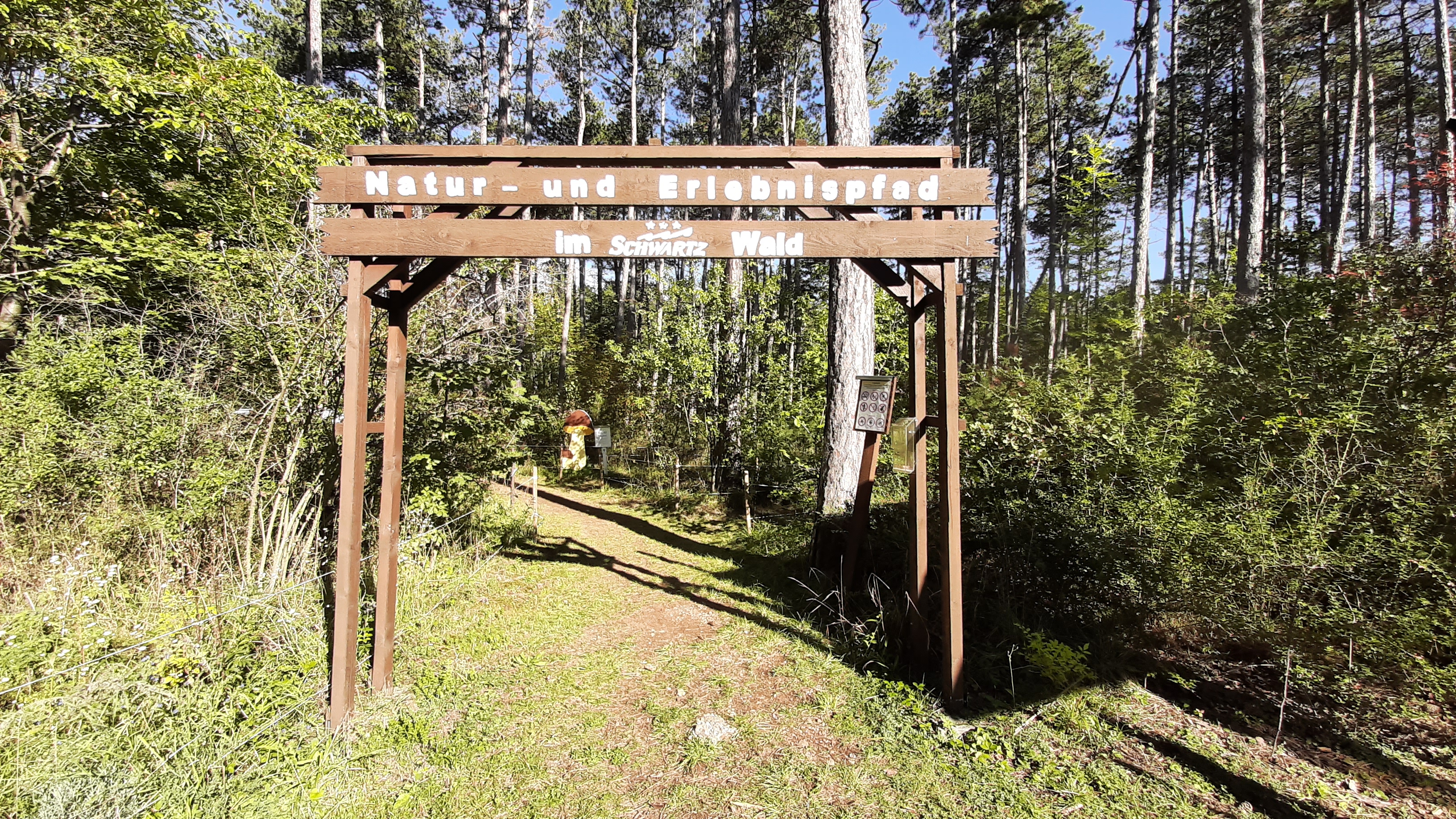 Ausflugsziel: Schwartz Wald - Spielplatz