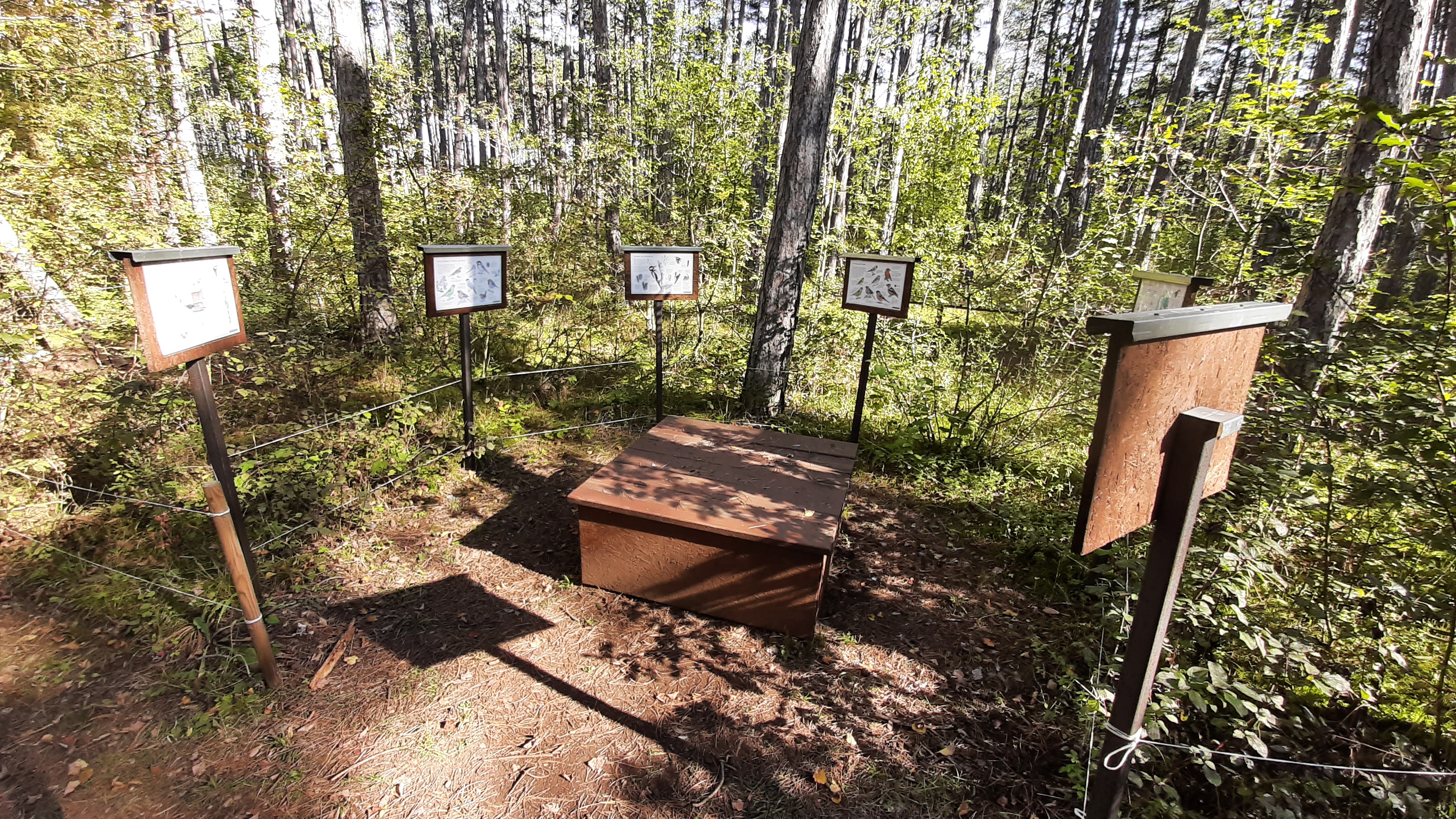 Ausflugsziel: Schwartz Wald - Spielplatz